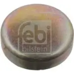 07295 DAF FROST PLUG (FEBI)