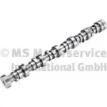 20100913001 DAF ENGINE CAMSHAFT (BF)