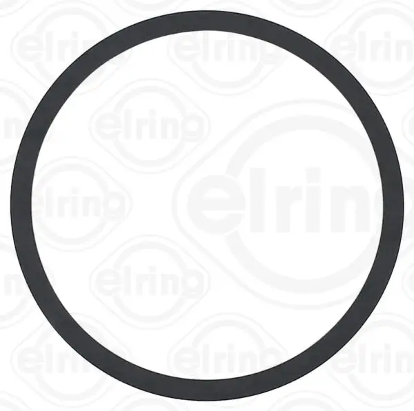 390669800T DAF IVECO GENUINE WATER PUMP O RING
