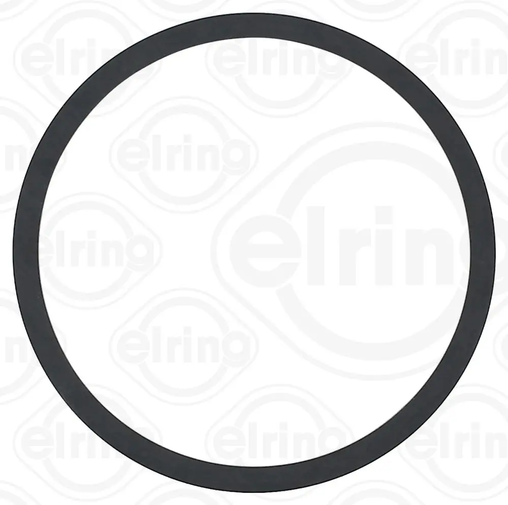 390669800T DAF IVECO GENUINE WATER PUMP O RING