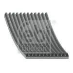 47161 DAF FAN BELT (FEBI)