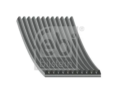 47161 DAF FAN BELT (FEBI)